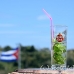 mojito_mint_hav_h_0690_cub0123_rv.jpg